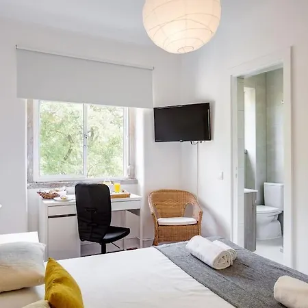 Apartment Spacious Tailor Made Flat In Areeiro